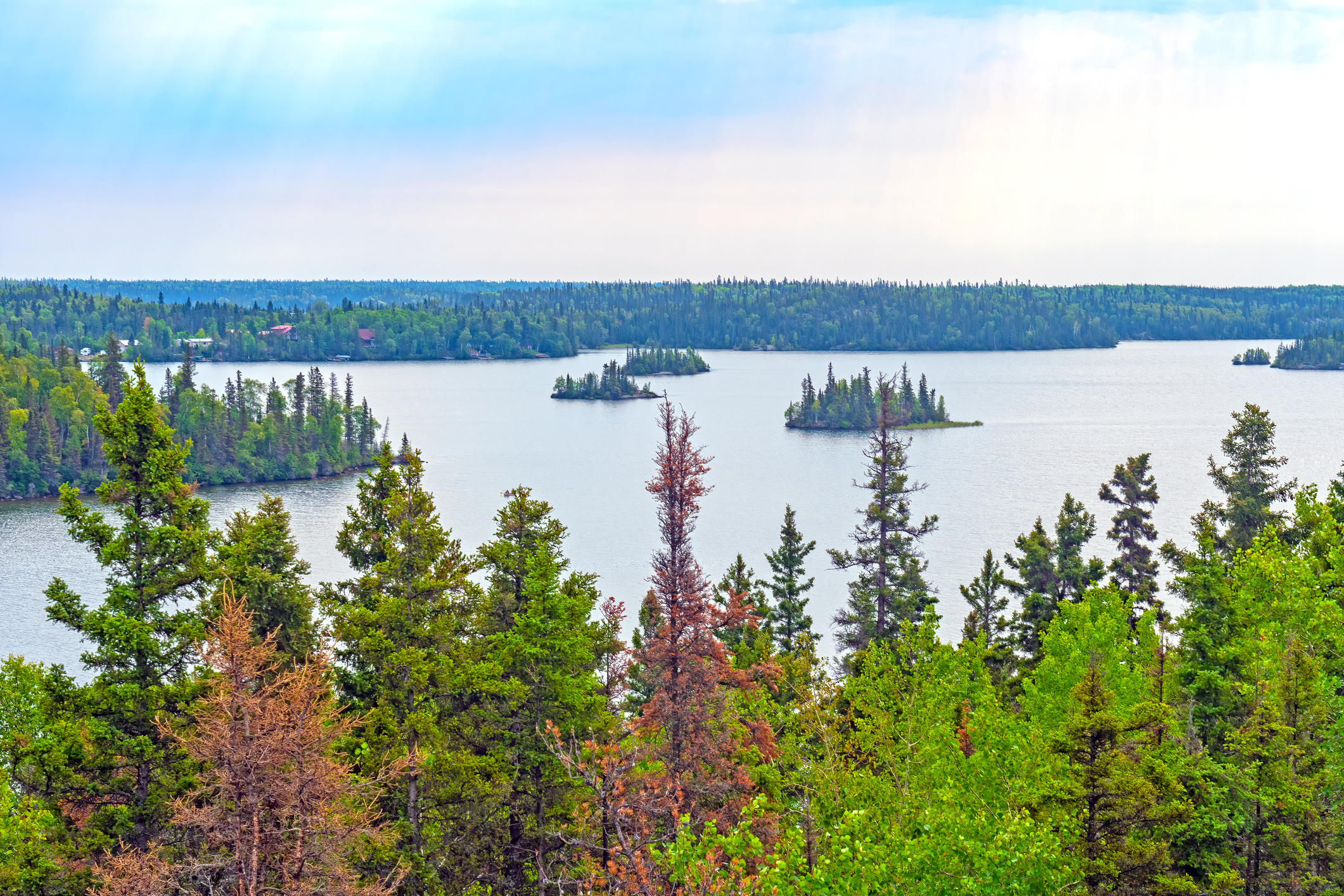 From the North, For the Environment: Recycling Batteries Together